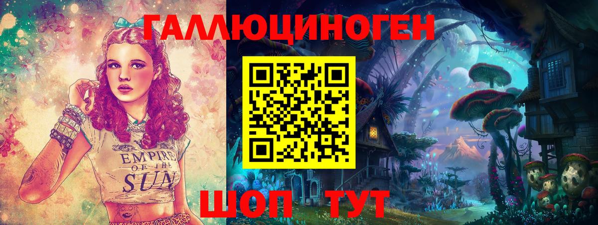 Галлюциногенные грибы Psilocybe Малоярославец